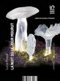 La nuit où le jour mourut
