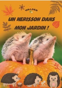 Un hérisson dans mon jardin !
