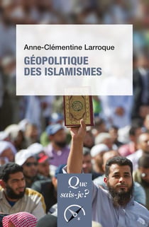 Géopolitique des islamismes (3e édition)