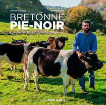 Bretonne Pie-noir, la vache des paysans heureux