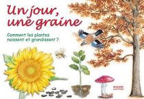 Un jour, une graine - comment les plantes naissent et grandissent ?