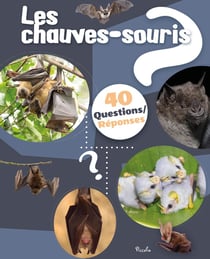 40 questions/réponses : Les chauves souris