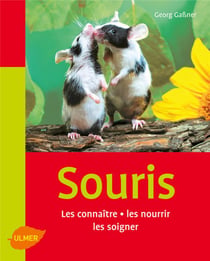 Souris - les connaître, les nourrir, les soigner