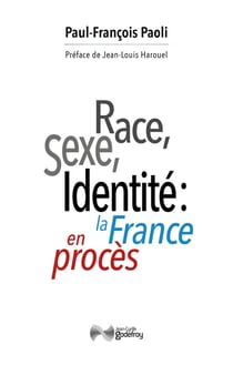 Race, sexe, identité: la France en procès : Réflexions sur une décivilisation