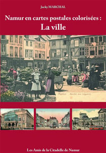 Namur en cartes postales colorisées t.2 : la ville