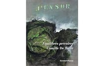 Équilibres précaires, Camille de Taeye