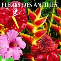 Fleurs des antilles