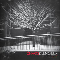 Chaos silencieux