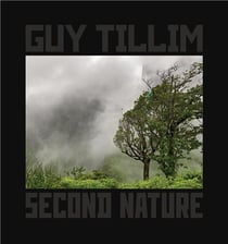 Guy tillim second nature