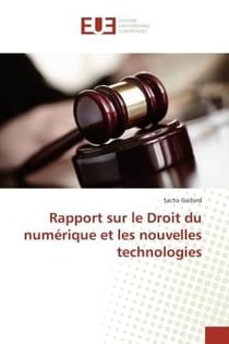 Rapport sur le Droit du numérique et les nouvelles technologies