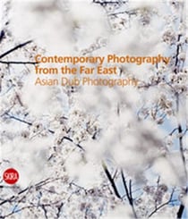 Contemporary photography from the far east - asian dub photography