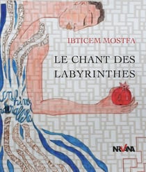 Le Chant Des Labyrinthes