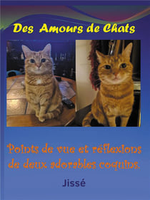 Des amours de chats : points de vue et réflexions de deux adorables coquins