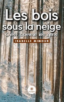 Les bois sous la neige : C'est comme les gens