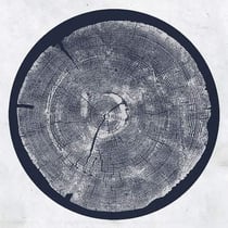 R: Tropic of anodyne