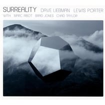 Surreality (invité : marc ribot)