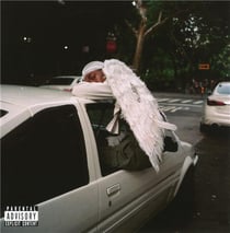 Negro swan