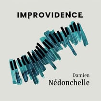 Improvidence / Damien Nédonchelle