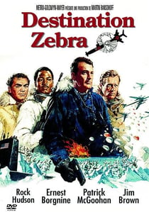 Destination Zebra