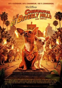 Le Chihuahua de Beverly Hills