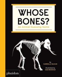 Whose bones? an animal guessing game