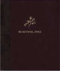 Beautiful, still