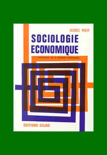 Sociologie économique t.2 - sociologie de la décision économique