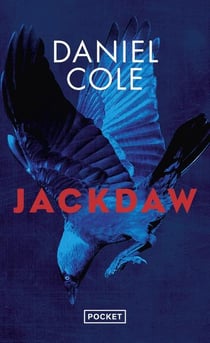 Jackdaw