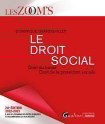 Le droit social : droit du travail - droit de la protection sociale (24e édition)