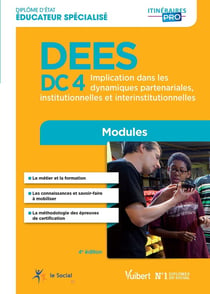 DEES - DC4 - implication dans les dynamiques partenariales, institionnelles et interinstitutionnelles (4e édition)