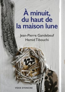 À minuit, du haut de la maison lune