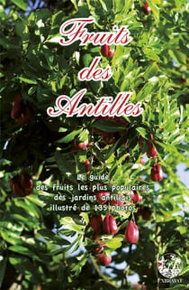 FRUITS DES ANTILLE