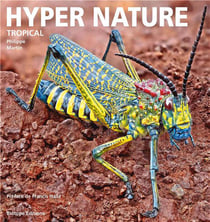 Hyper nature - tropical