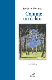 Comme un éclair