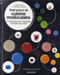 Petit précis de cuisine moléculaire