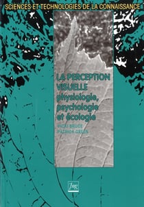 Perception visuelle (la)