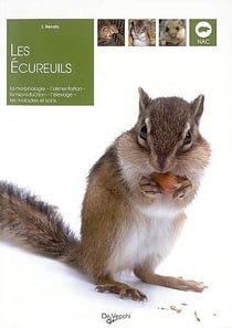 Les écureuils - la morphologie, l'alimentation, la reproduction, l'élevage, les maladies et soins