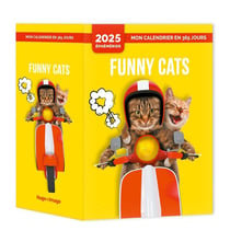 Mon calendrier Funny cats (édition 2025)