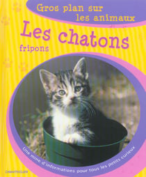 Gros plan sur les animaux 06. les chatons fripons