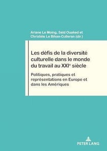 Les défis de la diversité culturelle dans le monde du travail au XXIe siècle : Politiques, pratiques et représentations en Europe et dans les Amériques...