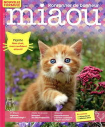 Miaou n.21 : psycho : mon chat, mon confident