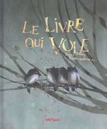 Le livre qui vole