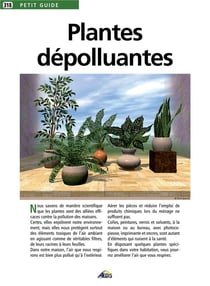 Plantes dépolluantes