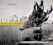 Steles de camargue