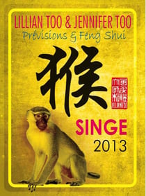 Singe 2013 - previsions & feng shui