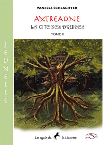 Axtreaone jeunesse ii - la cite des druides
