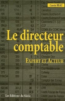 Le directeur comptable - expert et acteur