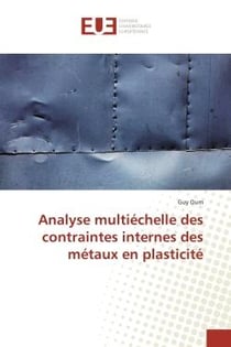 Analyse multiechelle des contraintes internes des metaux en plasticite