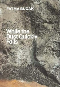While the Dust Quickly Falls