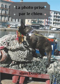 La photo prise par le chien